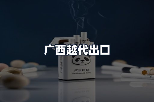 广西越代出口